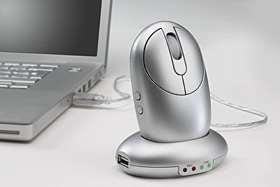 Computer Mouse